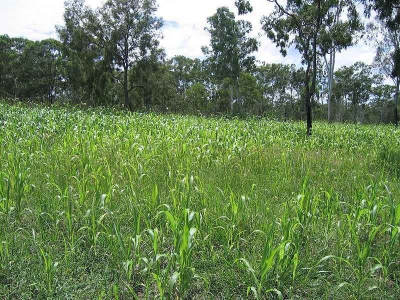 46663 Bruce Highway, Foreshores QLD 4678