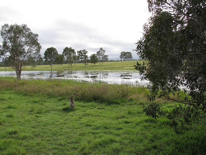 185 Dahls Road, Miriam Vale QLD 4677