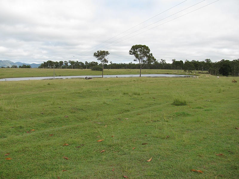 185 Dahls Road, Miriam Vale QLD 4677