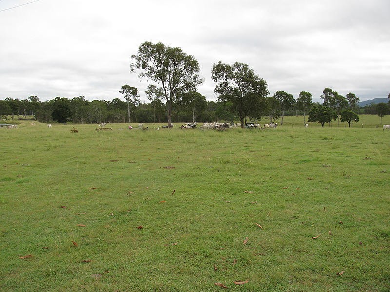 185 Dahls Road, Miriam Vale QLD 4677