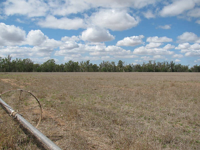 430 Playfields Road, Dululu QLD 4702