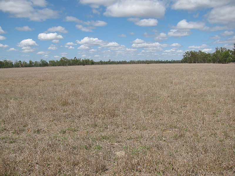 430 Playfields Road, Dululu QLD 4702