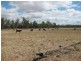 430 Playfields Road, Dululu QLD 4702