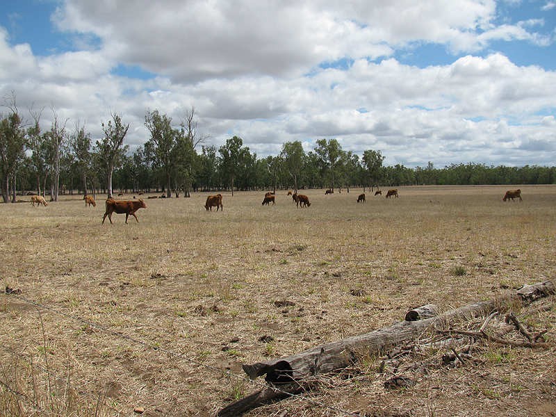 430 Playfields Road, Dululu QLD 4702