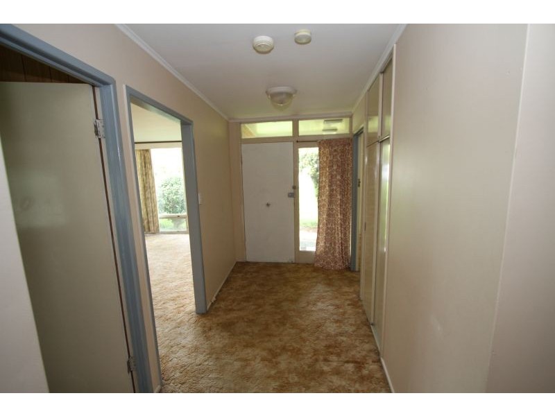 37 Wadley Street, Macgregor QLD 4109
