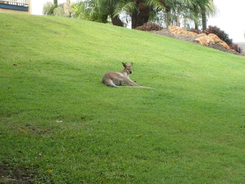 64 Sanctuary Drive, Mount Cotton QLD 4165