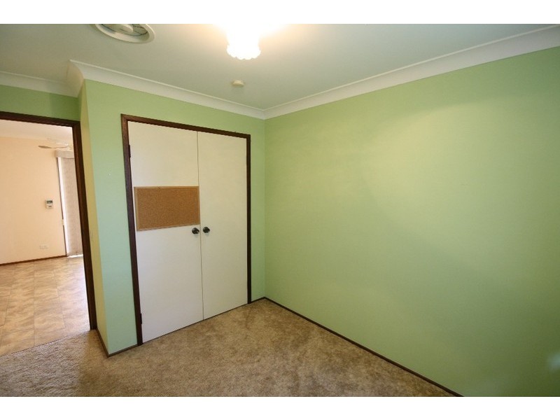 17 Mesquite Street, Sunnybank Hills QLD 4109