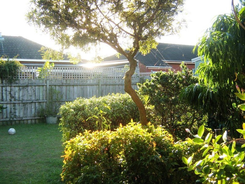 13 Cassilis Street, Monterey NSW 2217