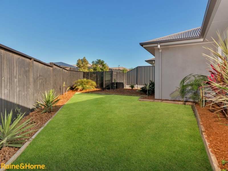 1 MONARCH AVENUE, Narangba QLD 4504