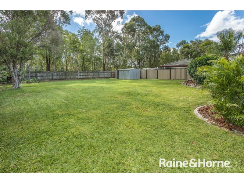 55 Hickory Drive, Narangba QLD 4504