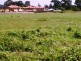 Lot 110 Deception Bay Road, Deception Bay QLD 4508