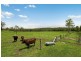 160 McCabe Road, Woodford QLD 4514