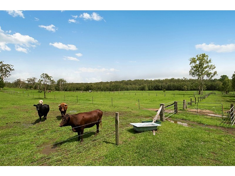 160 McCabe Road, Woodford QLD 4514