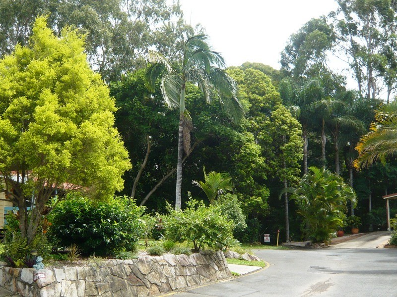 Burpengary QLD 4505