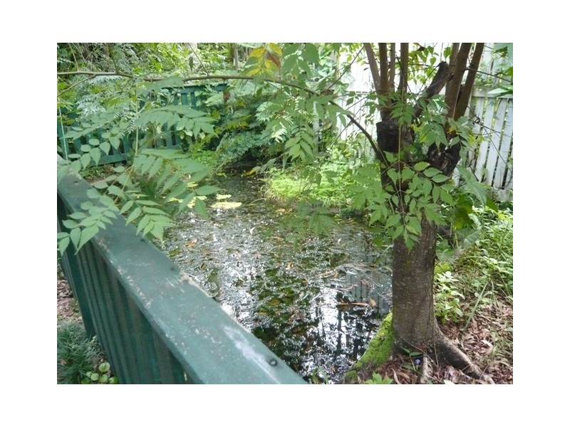 344 Caboolture River Road, Upper Caboolture QLD 4510