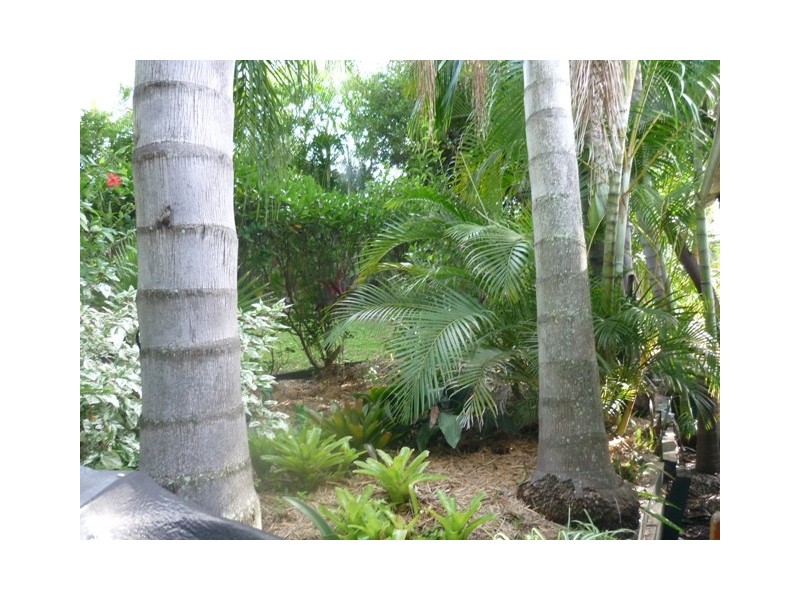 95 Marsden Road, Kallangur QLD 4503