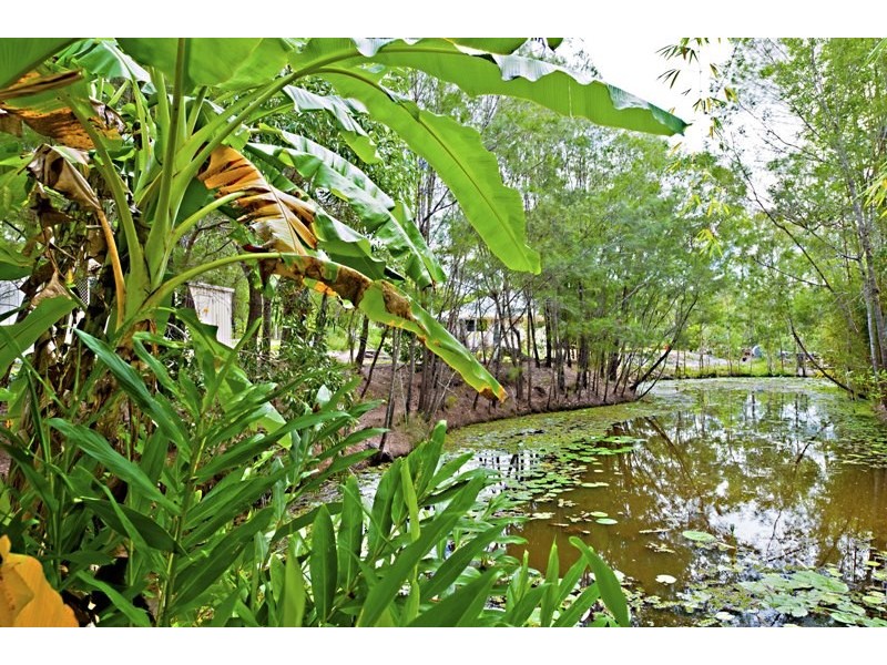 51 Michel Drive, Narangba QLD 4504