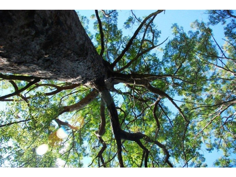 Stony Creek QLD 4514