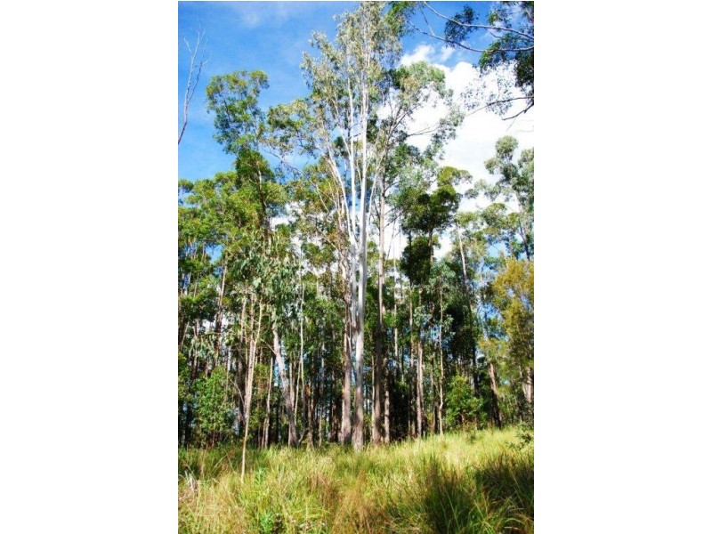 Stony Creek QLD 4514