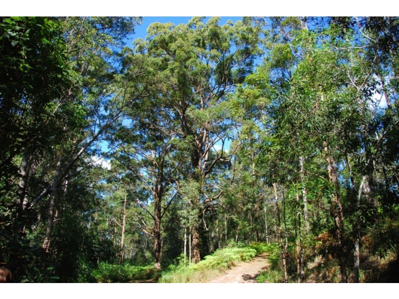 Stony Creek QLD 4514