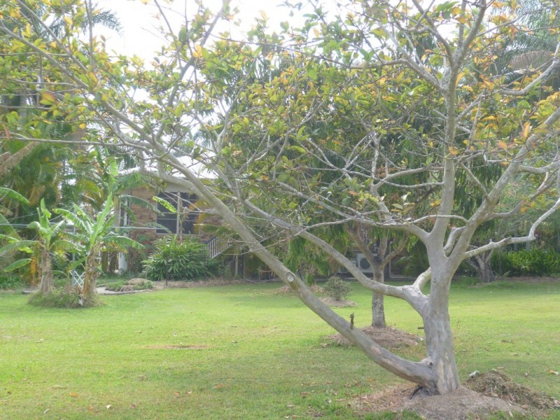 33 Rosehill Drive, Burpengary QLD 4505