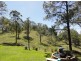 276 Forest Hills Dr, Morayfield QLD 4506