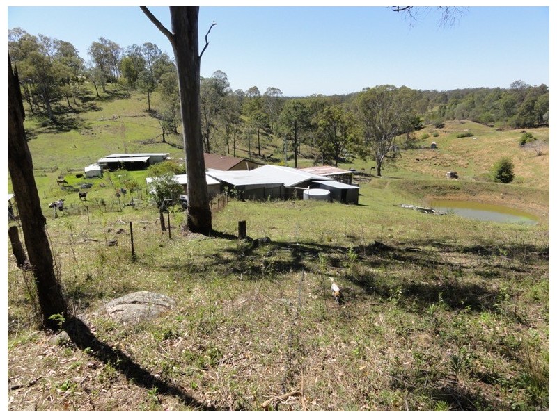 276 Forest Hills Dr, Morayfield QLD 4506