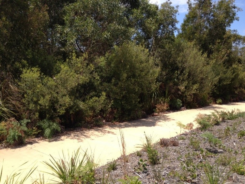 7 Grice Cr, Ningi QLD 4511