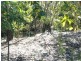 307 Buckley Road, Burpengary QLD 4505