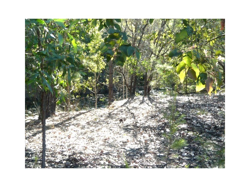 307 Buckley Road, Burpengary QLD 4505