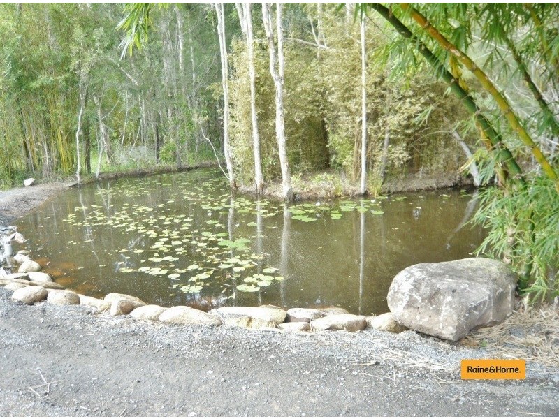 51 Michel Drive, Narangba QLD 4504