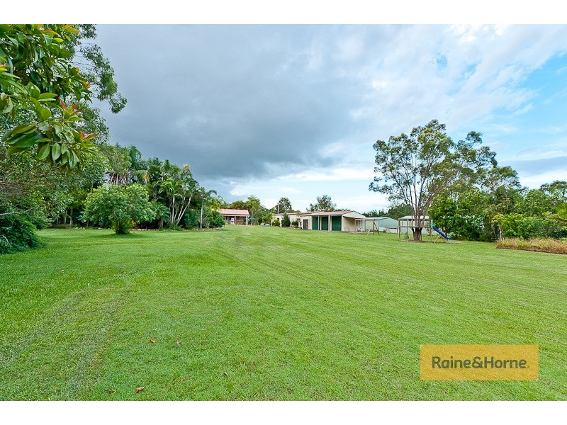 111 Riflebird Dr, Upper Caboolture QLD 4510
