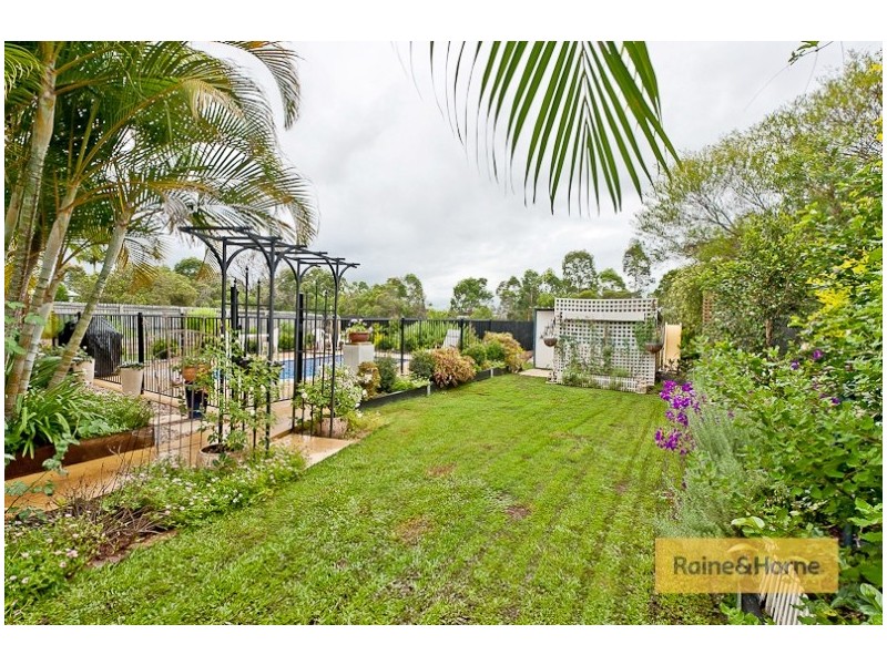 11 Cottonwood St, Narangba QLD 4504