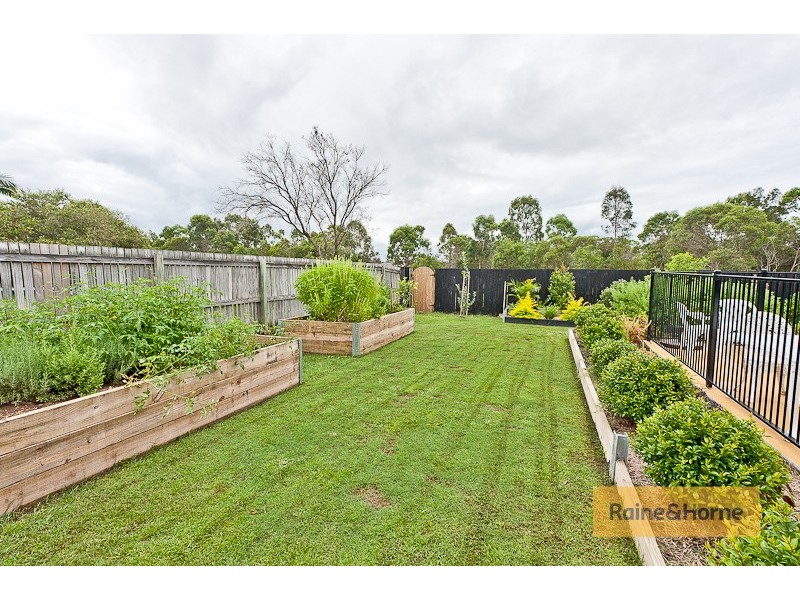 11 Cottonwood St, Narangba QLD 4504