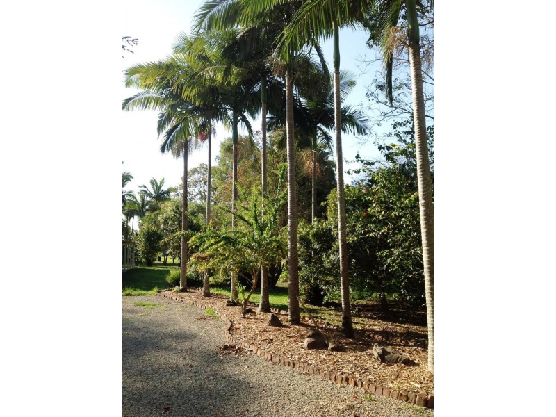 15 Cammack St, Burpengary QLD 4505
