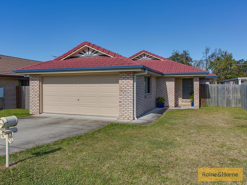 75 Teak Street, Rothwell QLD 4022