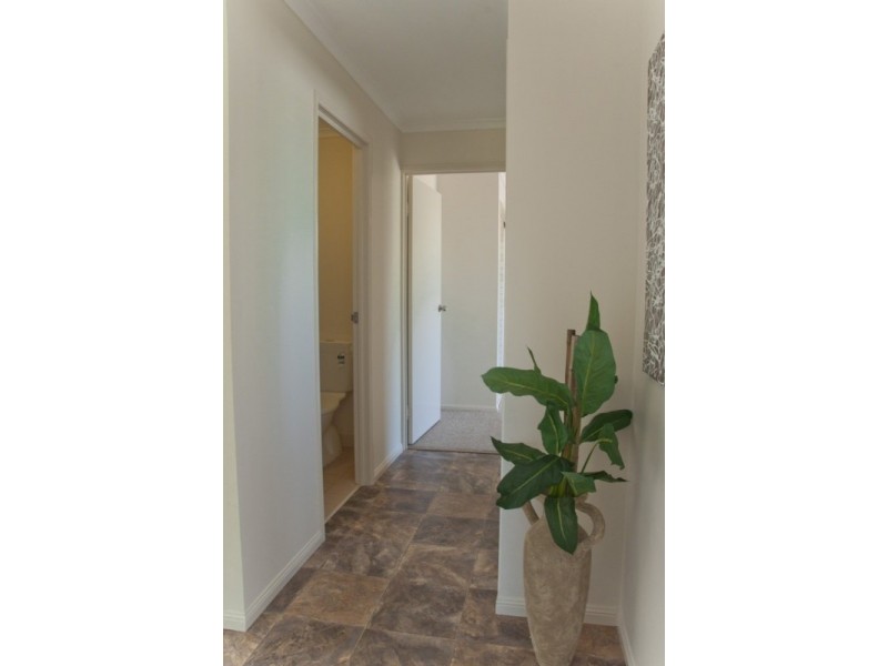 50 Bluebell Street, Caboolture QLD 4510