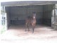 162 McPhail Road, Narangba QLD 4504