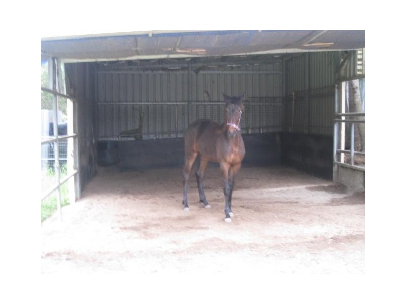 162 McPhail Road, Narangba QLD 4504