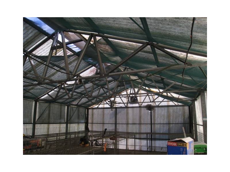 162 McPhail Road, Narangba QLD 4504