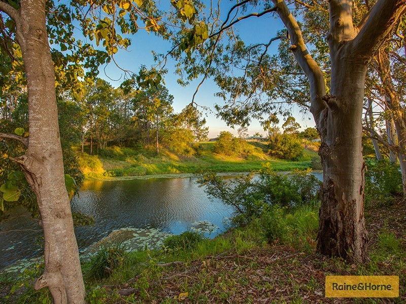 13 Moloney Place, Bellmere QLD 4510
