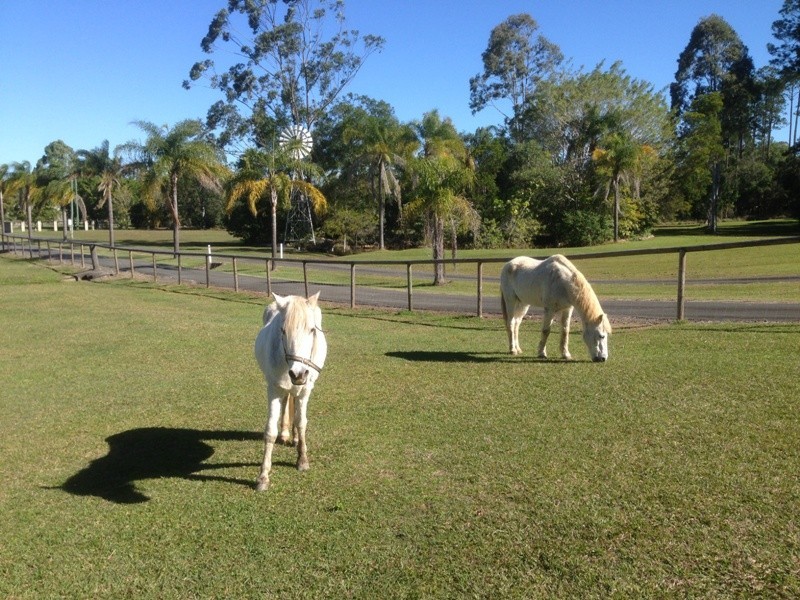 14-16 Walnut Court, Burpengary QLD 4505