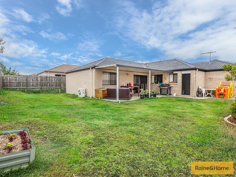 5 Radiata Court, Morayfield QLD 4506
