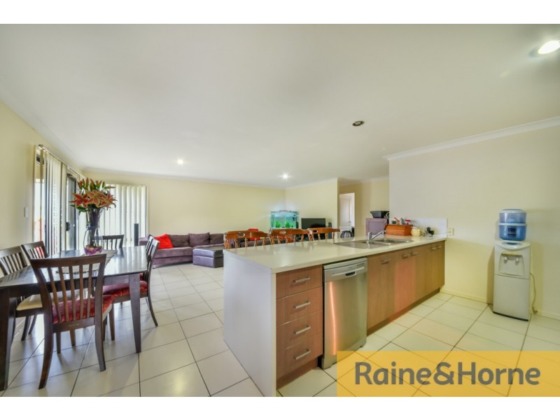 14 Leopardtree Drive, Upper Caboolture QLD 4510