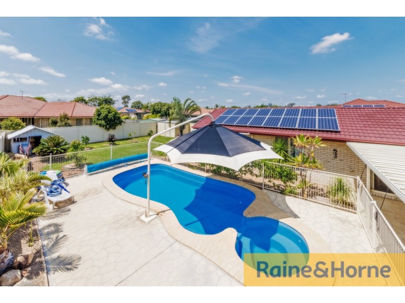 71 Hargrave Street, Morayfield QLD 4506