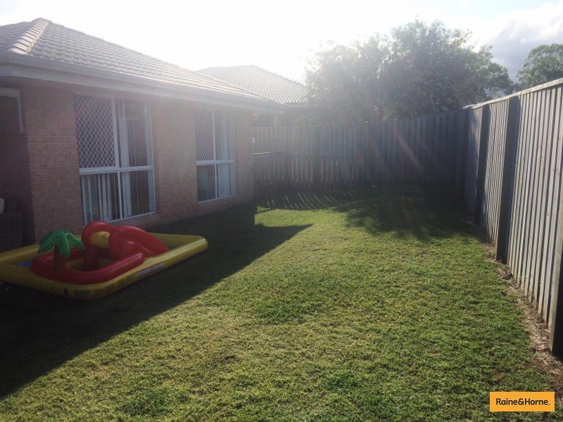 31 Bluejay Circuit, Morayfield QLD 4506