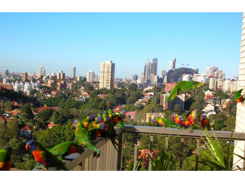 33/44-50 Bent Street (enter from Bent St or Winter Ave), Neutral Bay NSW 2089