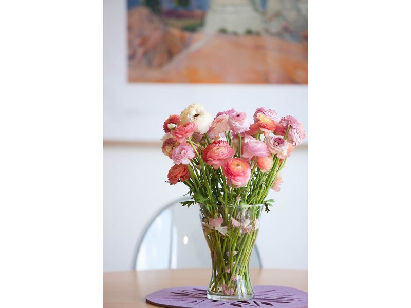 8/3 Yeo Street, Neutral Bay NSW 2089