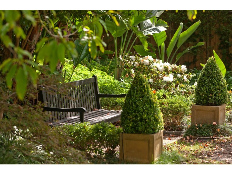 25/37-45 Barry Street, Neutral Bay NSW 2089