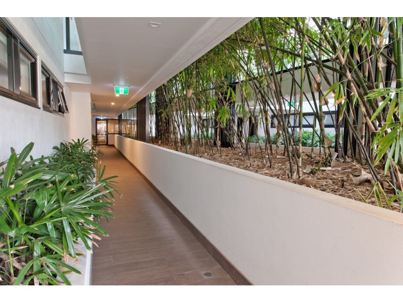 107/710 Military Road, Mosman NSW 2088